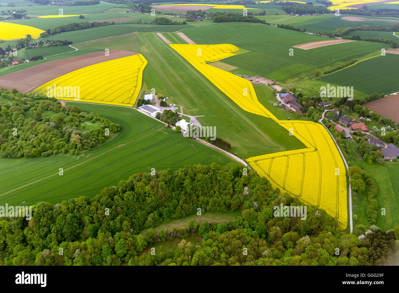 Luftaufnahme, Flugplatz Meier Mountain Flying Niedernberg umgeben von Raps Felder, Luftaufnahme von Heiligenhaus, Stockfoto