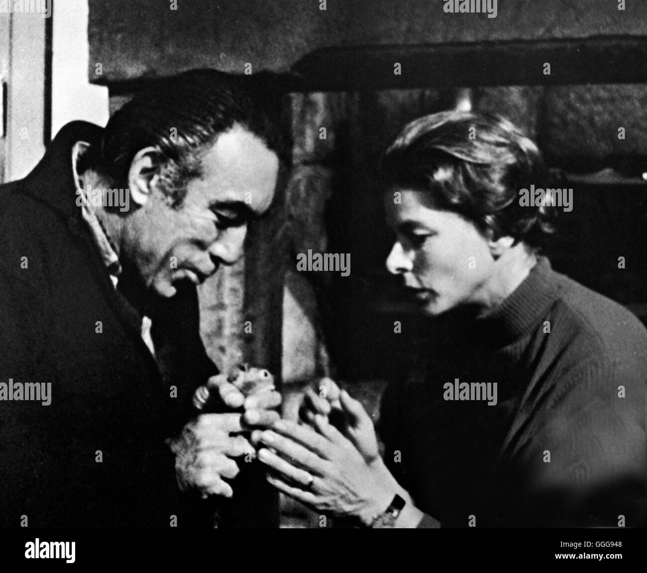 DIE FRAU DES ANDEREN / A Walk in the Spring Rain USA 1969 / Guy Green ANTHONY QUINN, INGRID BERGMAN, "Einen Spaziergang im Frühlingsregen", 1969. Regie: Guy Green aka. Ein Spaziergang im Frühlingsregen Stockfoto