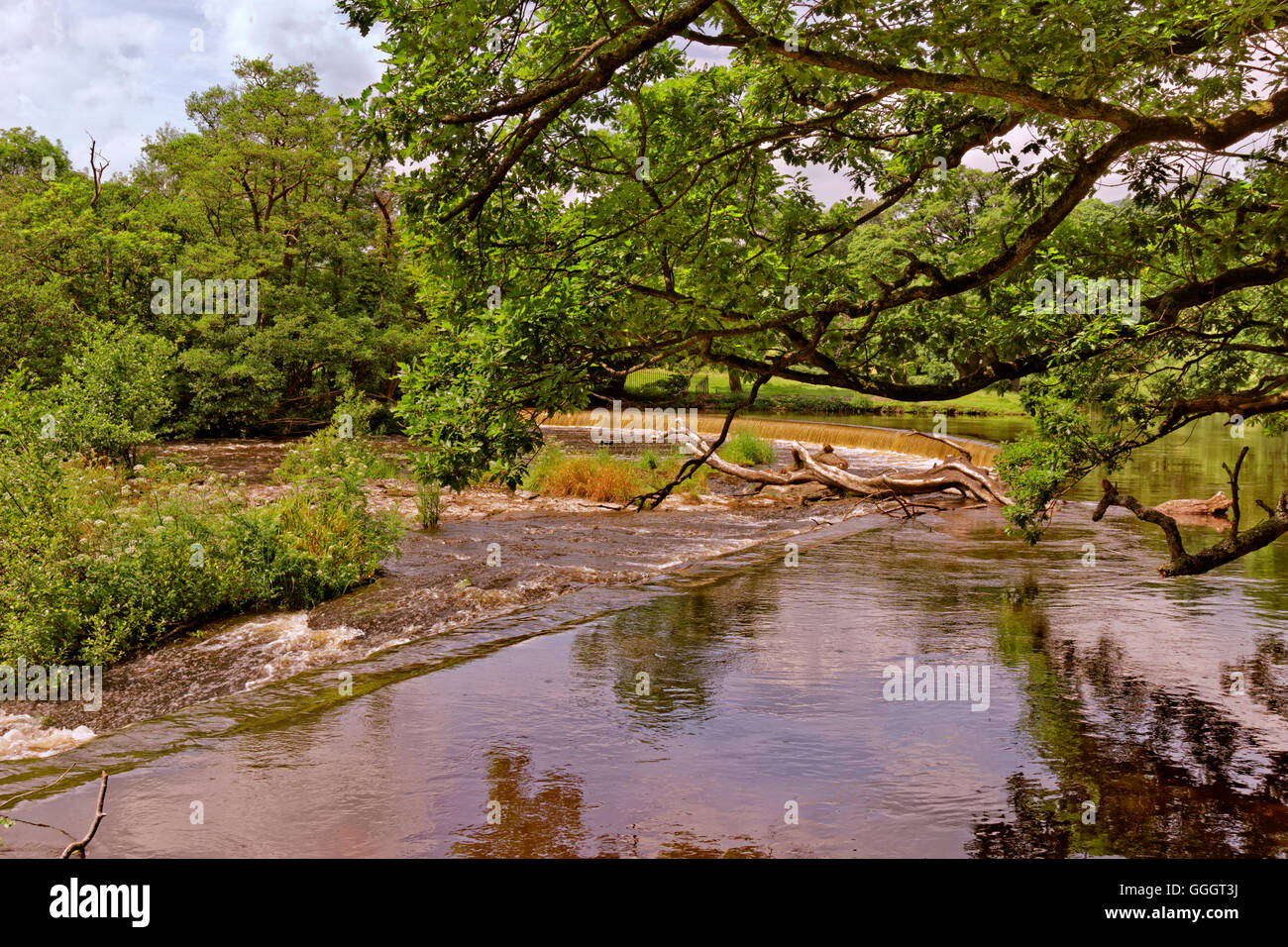 Die Horseshoe Falls in Llangollen, Denbighshire, Wales Stockfoto