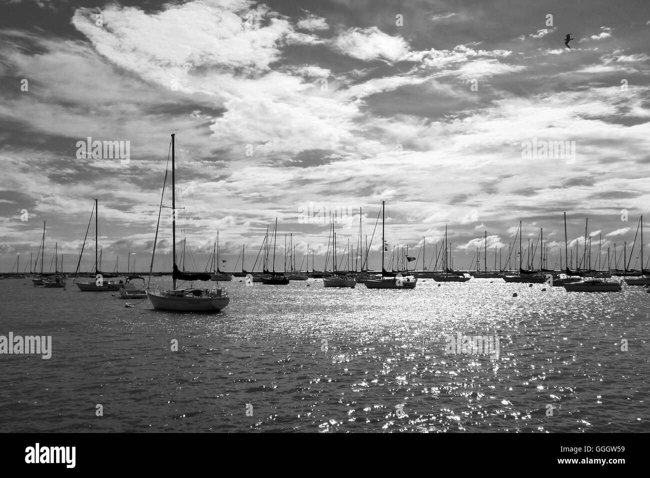 Chicago-Segelboote Stockfoto