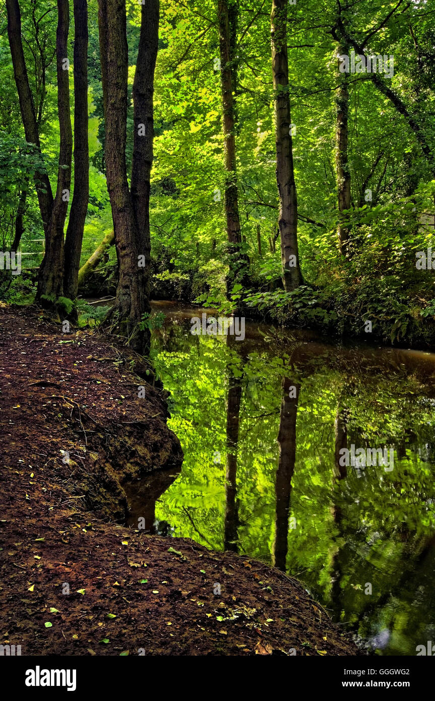 Großbritannien, Derbyshire, Eckington, The Moss Stockfoto