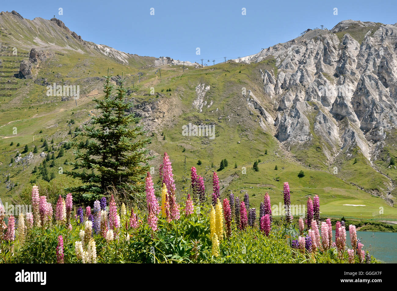 See von Tignes und Blumen in Frankreich Stockfoto