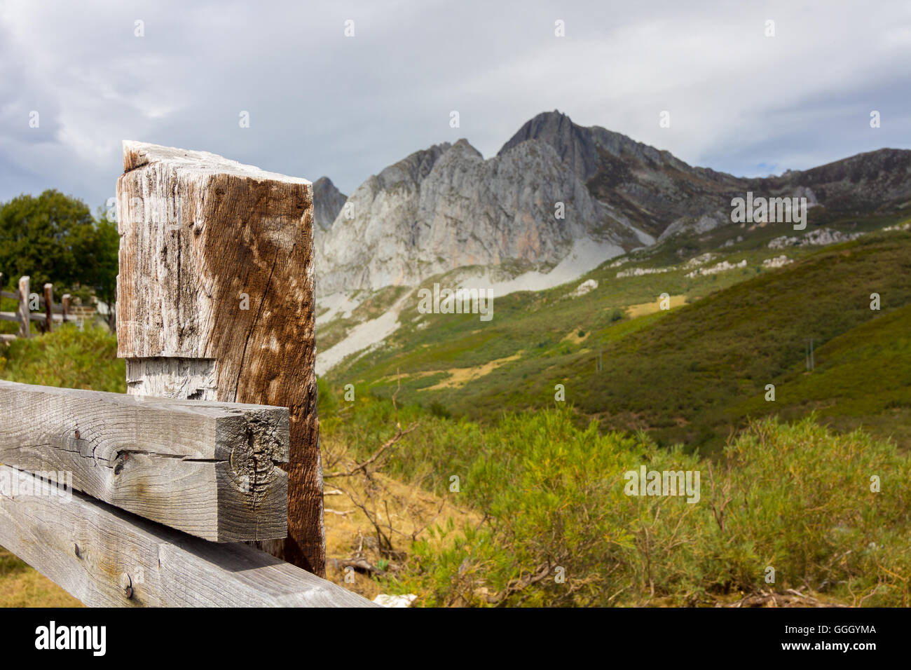 Holzzaun in hohen Bergwiese Stockfoto