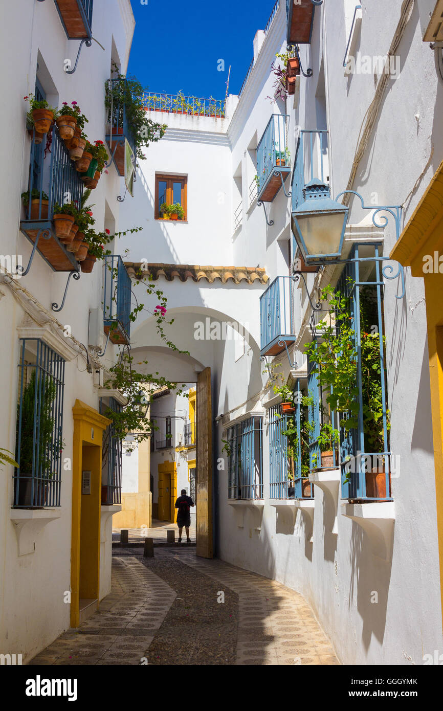 Straßen mit Bögen verziert und verjährt Windows typisch für die Stadt Córdoba, Spanien Stockfoto