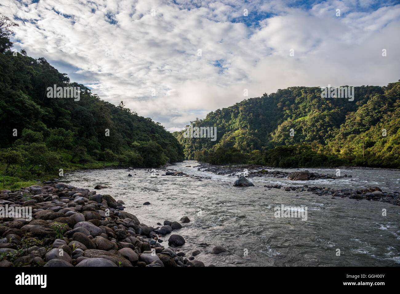 Rio Cosanga in den Osthang der Anden. Ecuador, Südamerika. Stockfoto