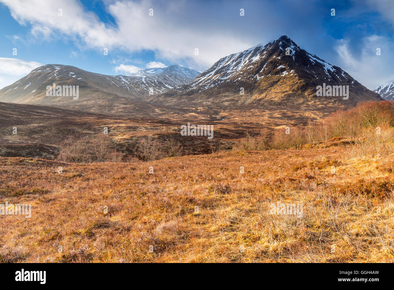 SRON Na Creise & Stob ein ' Ghlais Choire und Fluss Coupall bei Glen Etive, Highlands, Schottland, Vereinigtes Königreich, Europa. Stockfoto