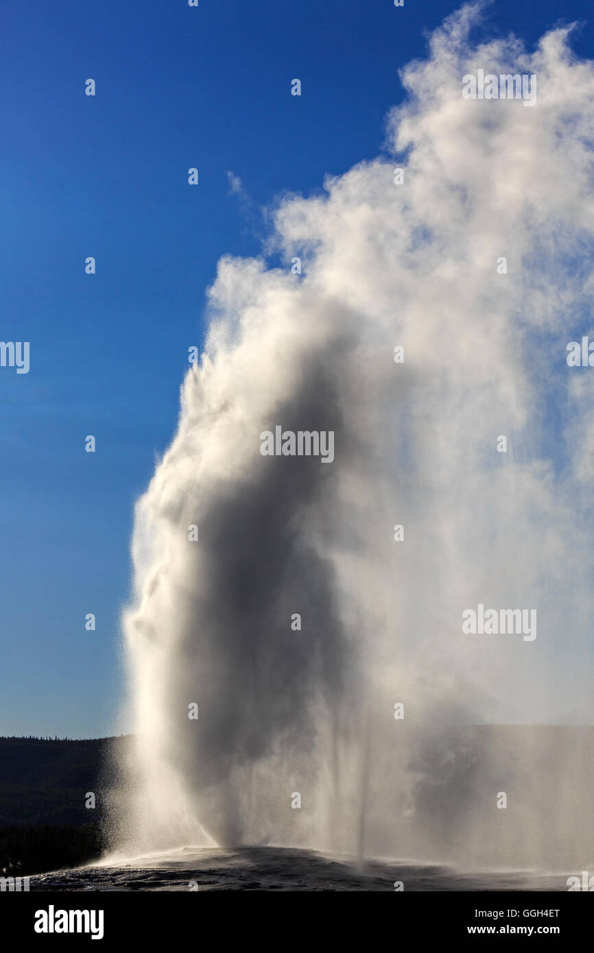 In diesem Bild der "Old Faithful" bricht Geysir im Yellowstone-Nationalpark, Wyoming, USA. Stockfoto