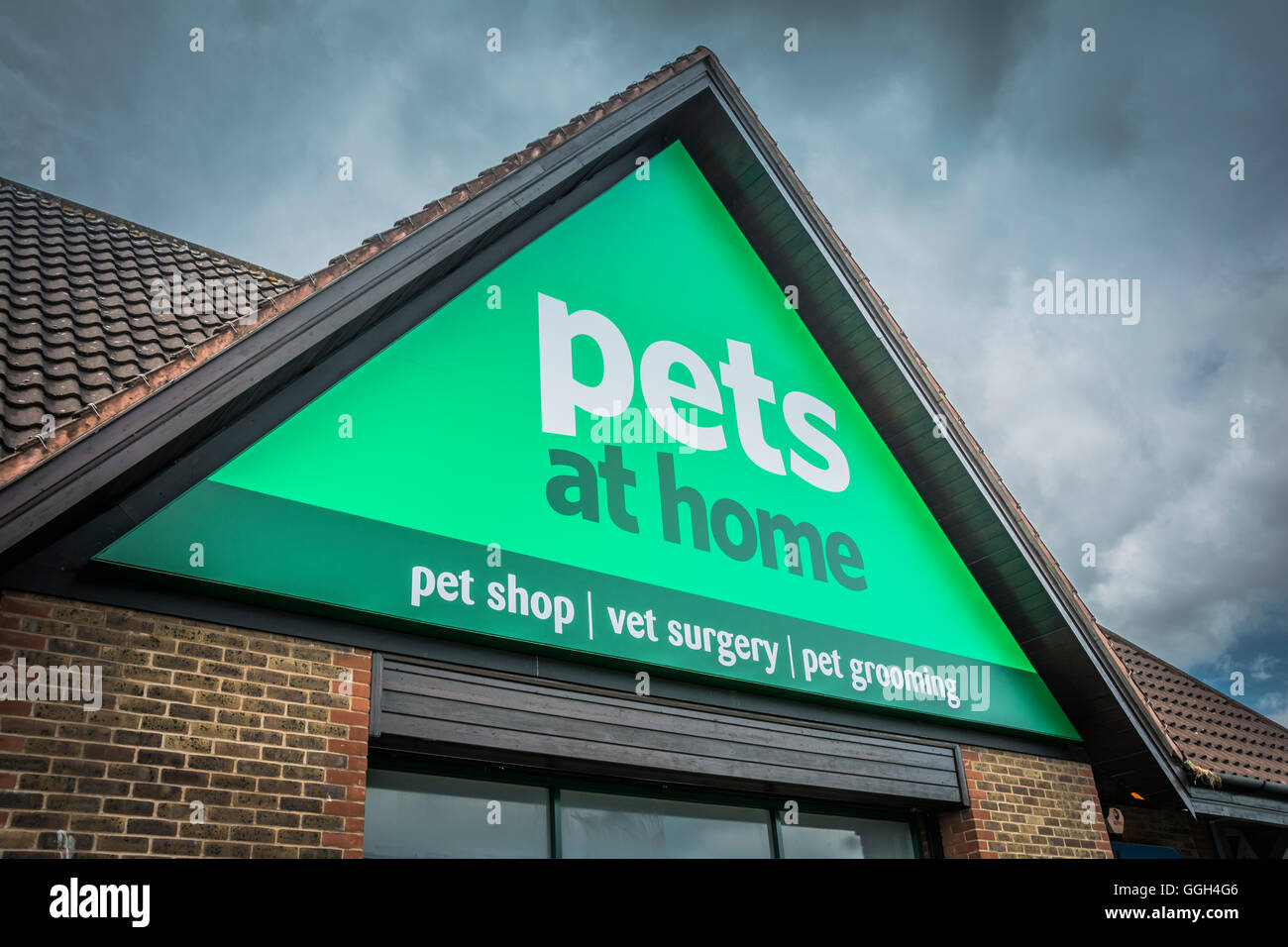 London, England, Vereinigtes Königreich: Haustiere zu Hause lagern vorderen Beschilderung in London Stockfoto