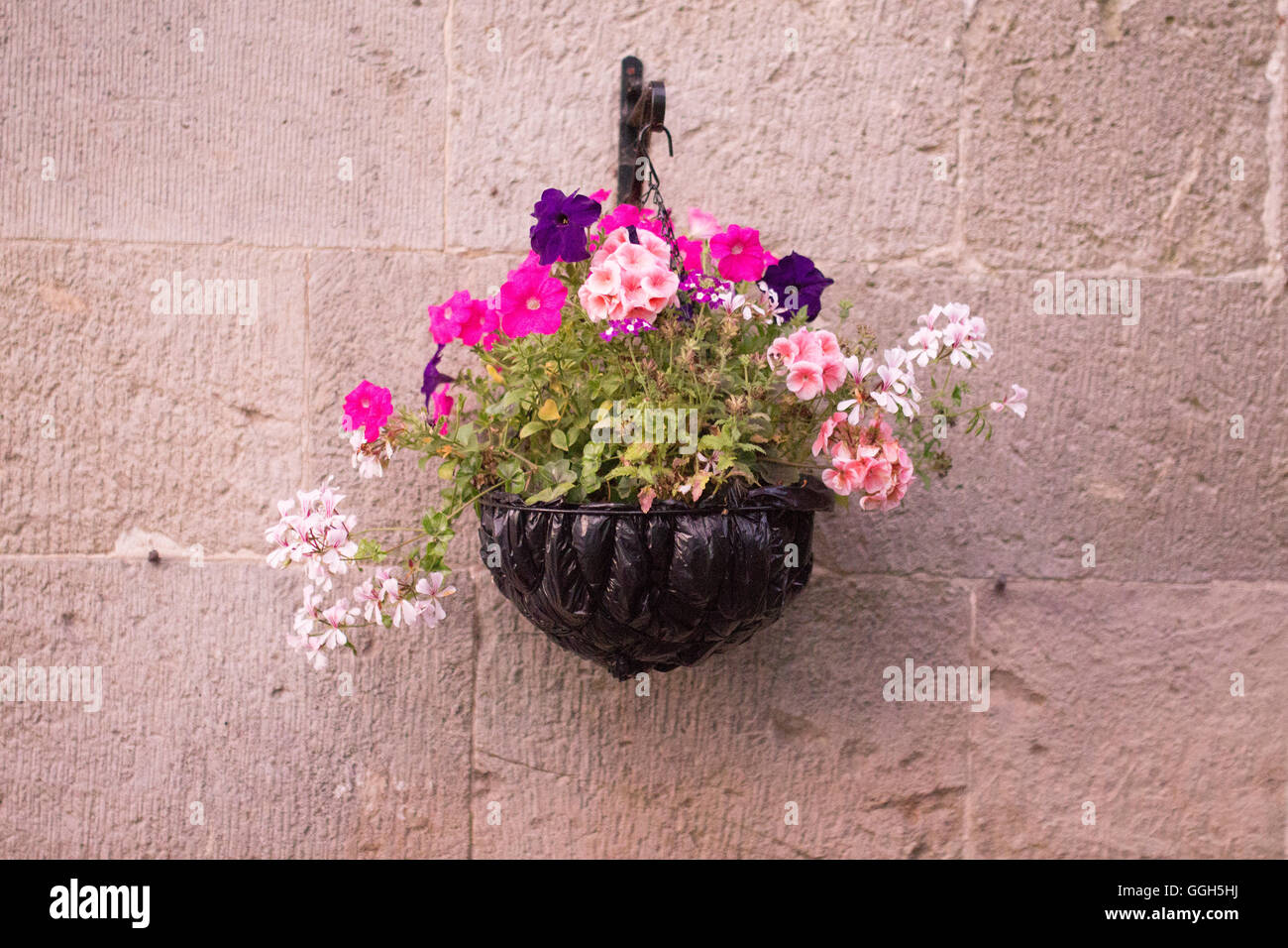Blumenampel auf Steinmauer Stockfoto
