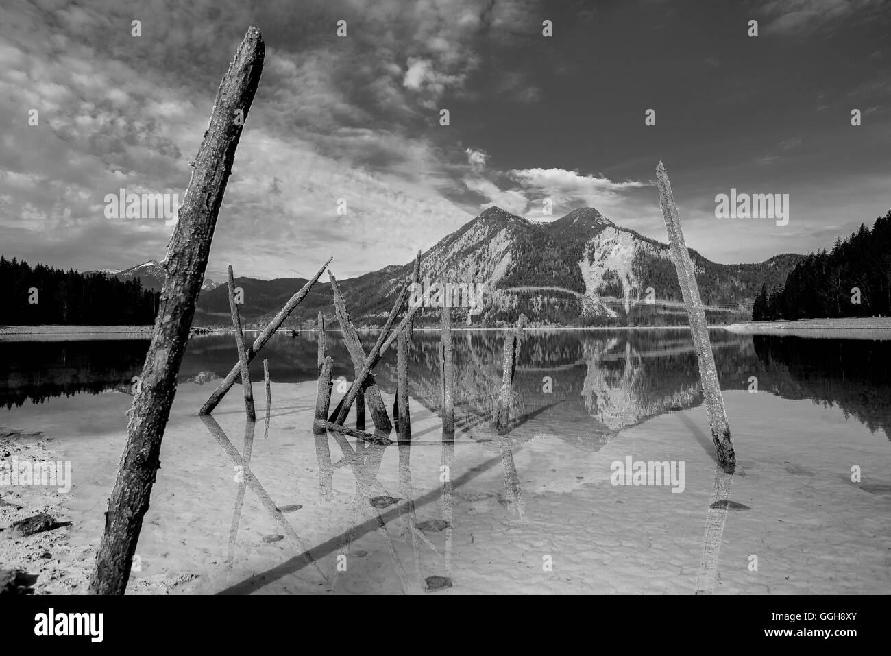 Holzstangen am Ufer des See Walchensee bei Ebbe mit Blick auf den Herzogstand, Walchensee, Alpen, Bayern, Deutschland Stockfoto