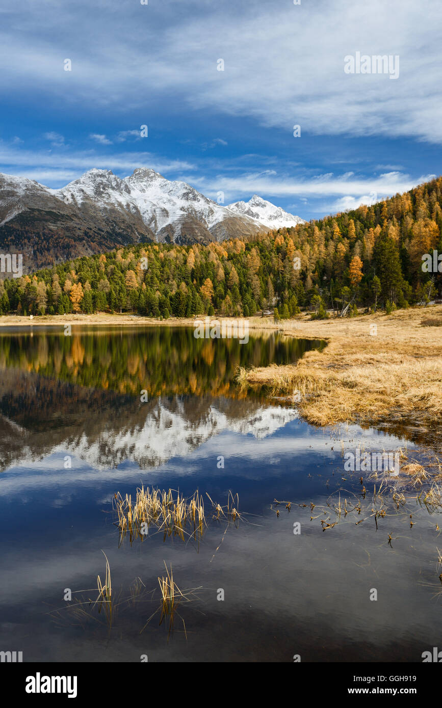 Lej da Staz mit Piz Muragl und Piz Languard, Engadin, Graubünden, Schweiz Stockfoto