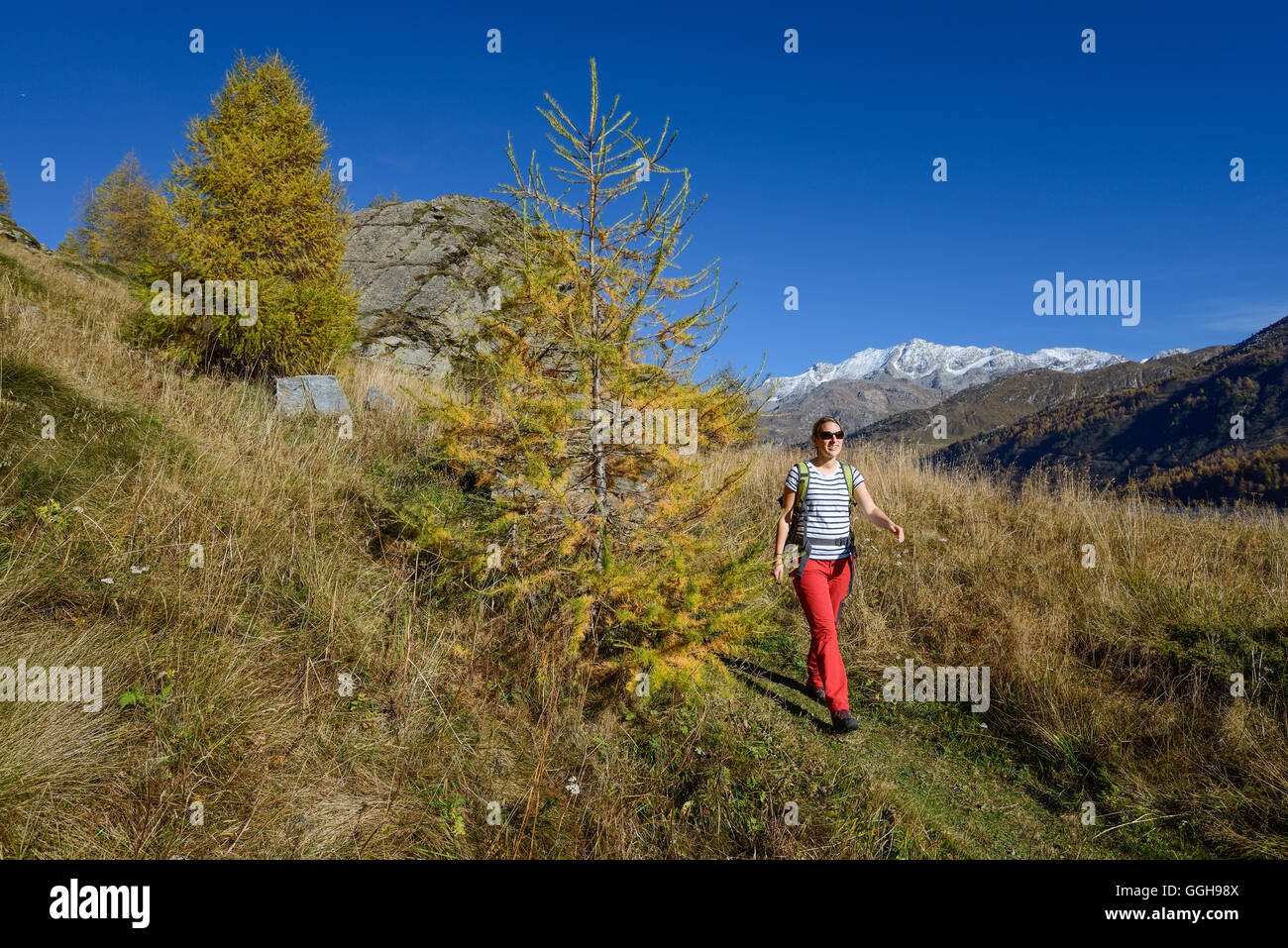 Frau wandern über dem Silsersee mit Piz Corvatsch (3451 m) im Hintergrund, Engadin, Graubünden, Schweiz Stockfoto
