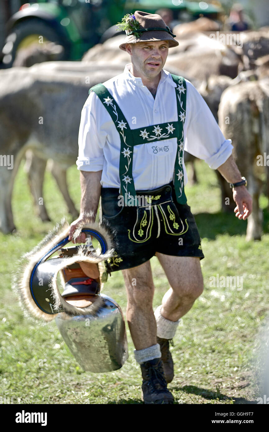 Mann trägt traditionelle Kleidung tragen eine Kuhglocke, Viehscheid,  Allgäu, Bayern, Deutschland Stockfotografie - Alamy