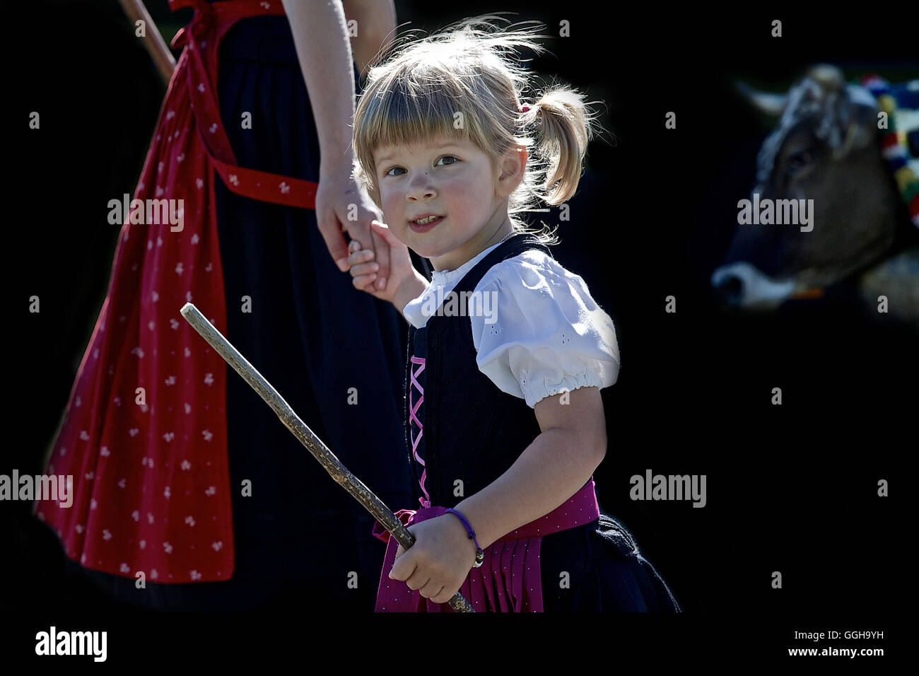 Mädchen trägt ein Dirndl, Viehscheid, Allgäu, Bayern, Deutschland Stockfoto