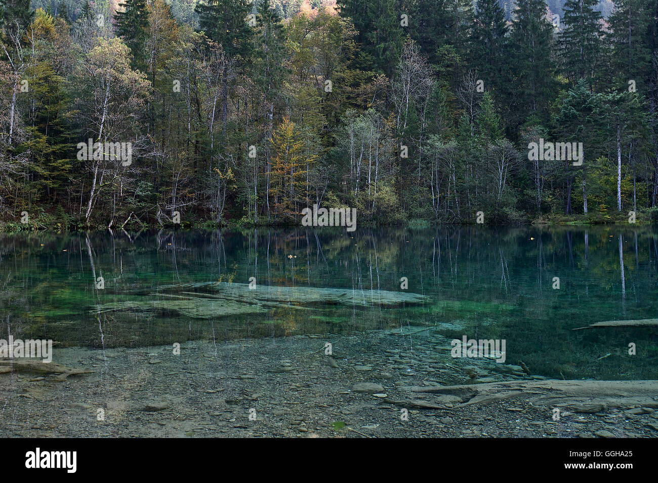 Kleiner See im Wald, Oberstdorf, Bayern, Deutschland Stockfoto