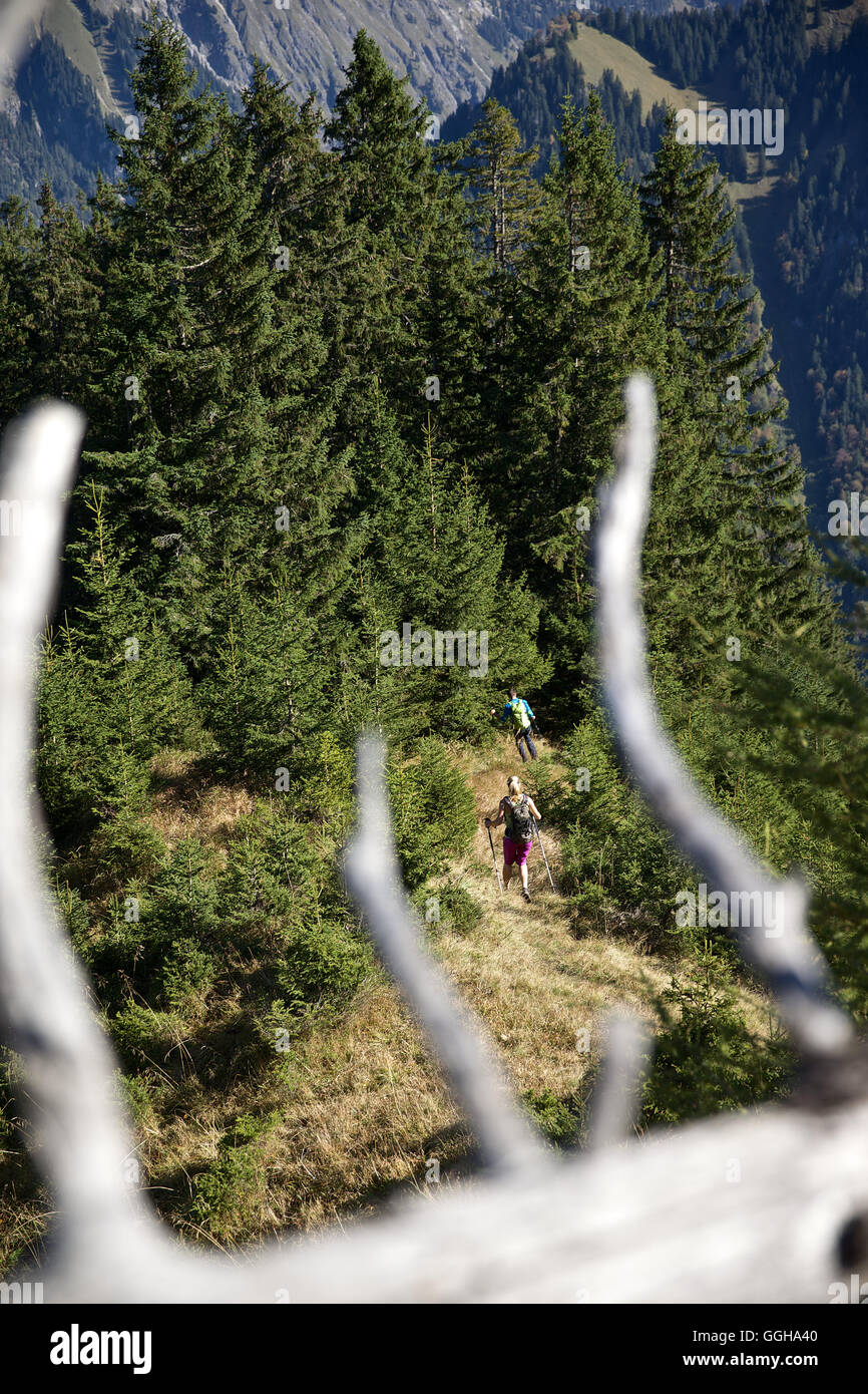 Ein Mann und eine Frau, Wandern auf einem Pfad in den Bergen, Oberstdorf, Bayern, Deutschland Stockfoto