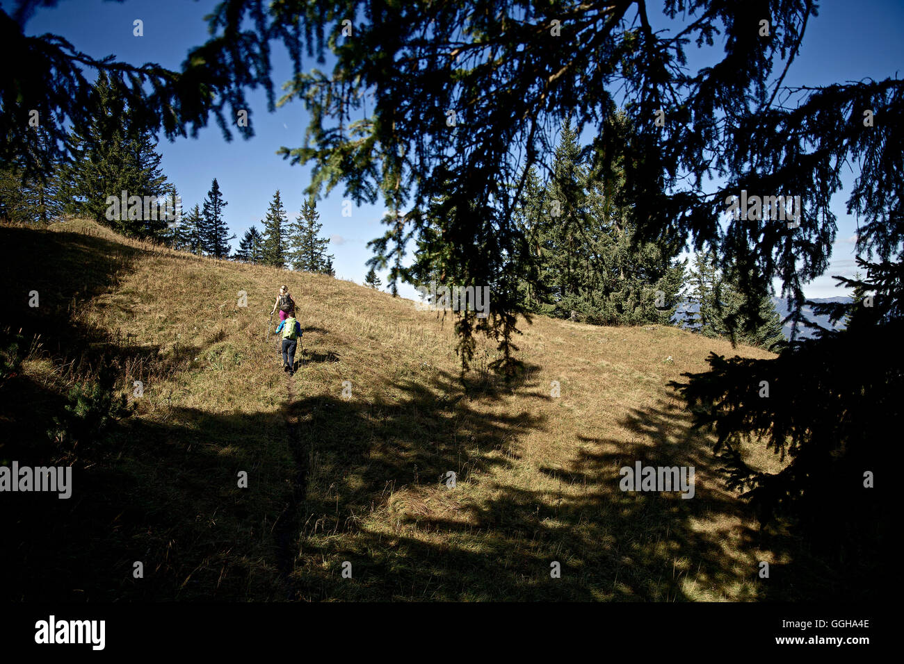 Ein Mann und eine Frau, Wandern auf einem Pfad in den Bergen, Oberstdorf, Bayern, Deutschland Stockfoto