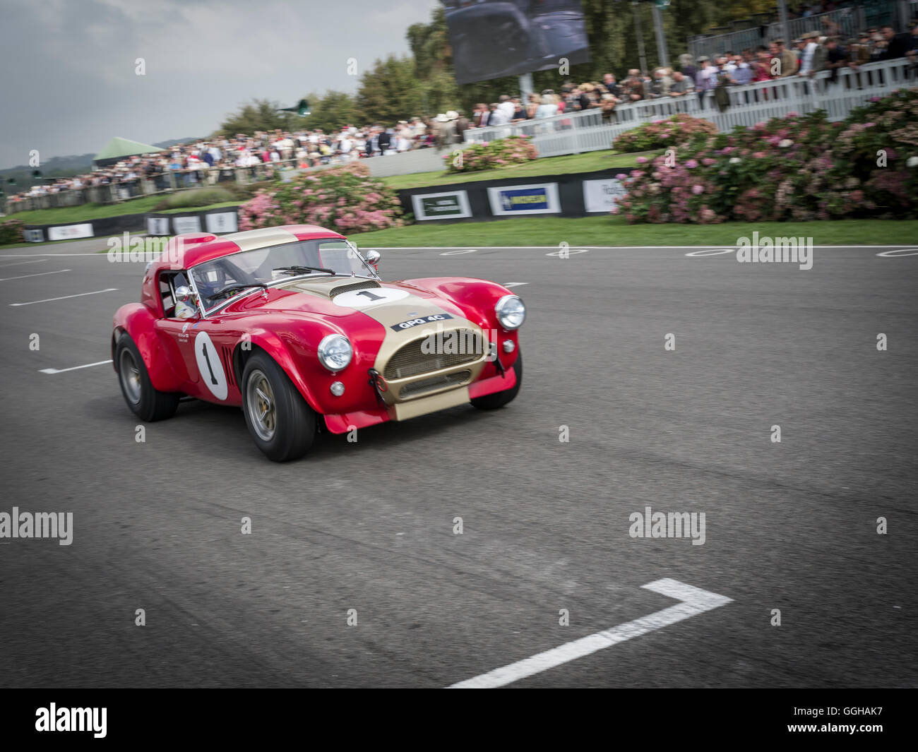 1964-AC Cobra, Goodwood Revival 2014, Rennsport, Oldtimer, Goodwood, Chichester, Sussex, England, Großbritannien Stockfoto