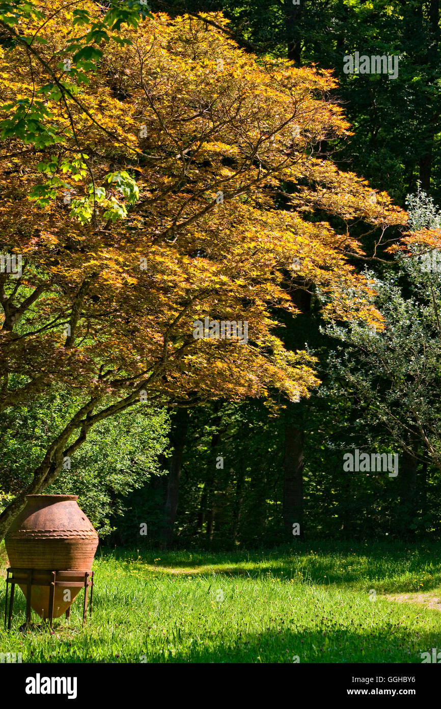 Amphoren und Baum im Herbst Blätter in den Park des Buchheim Museum der Phantasie, Bernried, Upper Bavaria, Bavaria, Germany Stockfoto