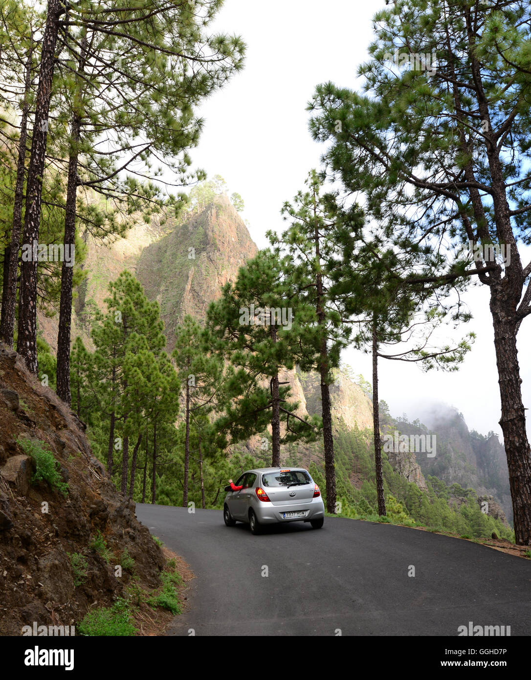 Teerstraße, La Cumbrecita, Caldera de Taburiente, La Palma, Kanarische Inseln, Spanien Stockfoto
