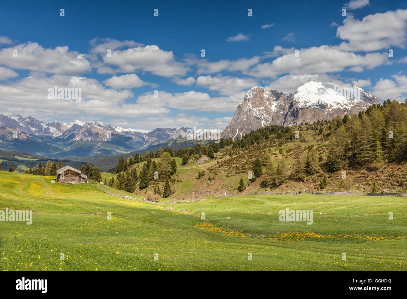 Geographie/Reisen, Italien, Südtirol, Bergwiese auf der Seiser Alm mit Blick auf den Plattkofel (2969 m), Additional-Rights - Clearance-Info - Not-Available Stockfoto
