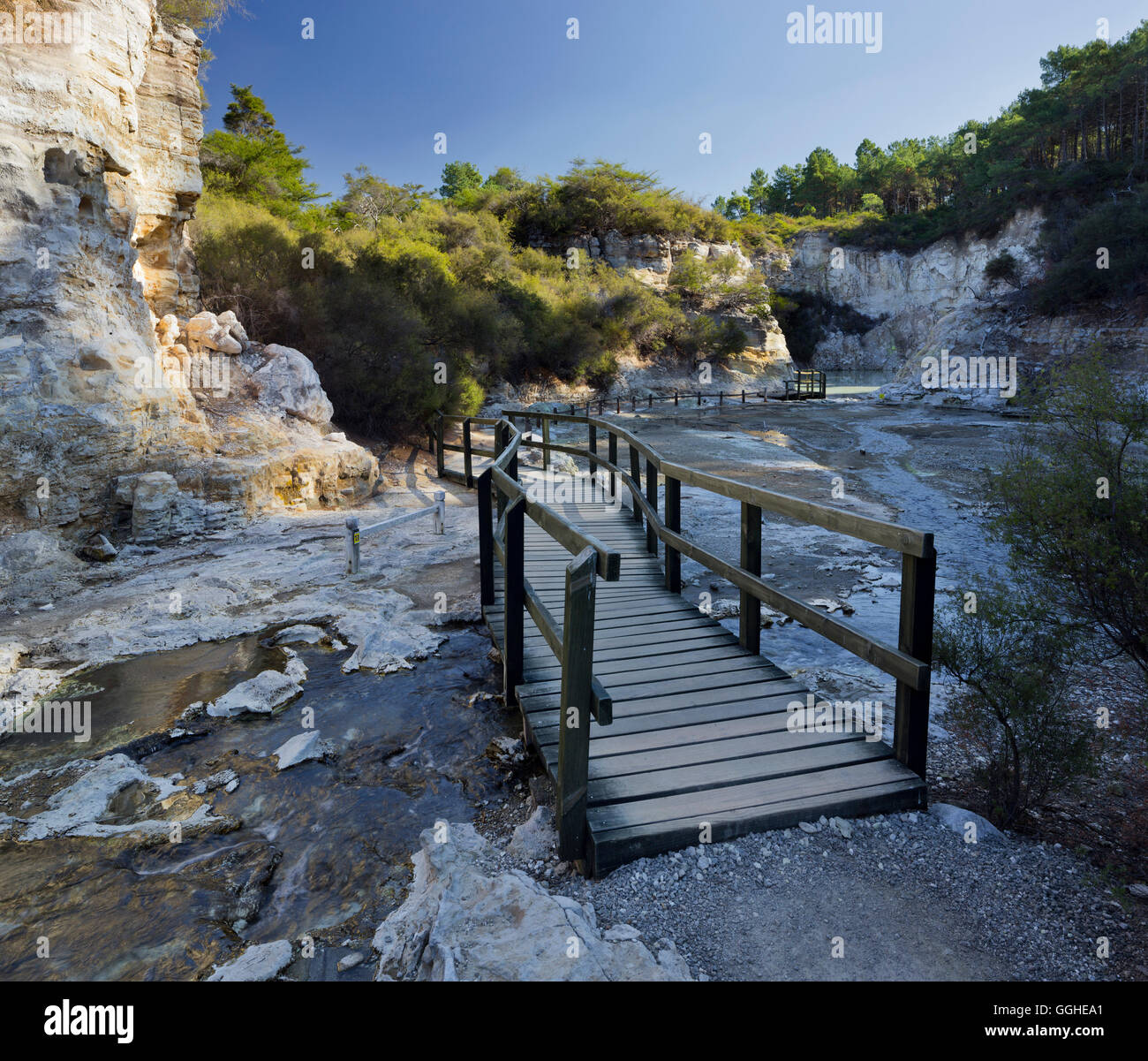 Pfad durch Wai-O-Tapu Thermal Wonderland, Bay of Plenty, Nordinsel, Neuseeland Stockfoto