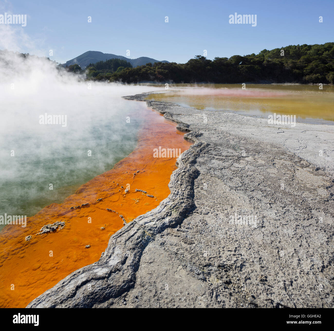 Champagne Pool, Wai-O-Tapu Thermal Wonderland, Bay of Plenty, Nordinsel, Neuseeland Stockfoto