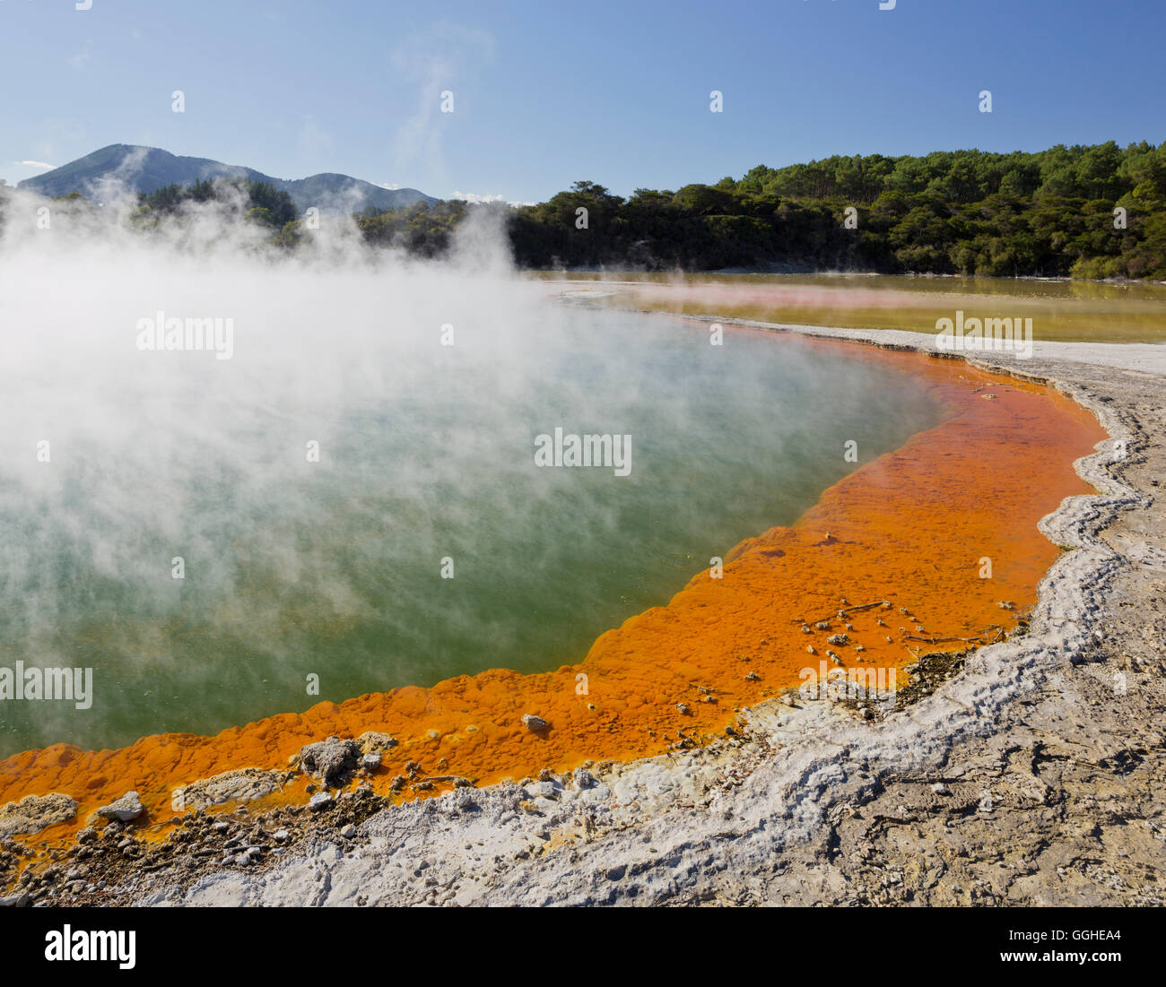 Champagne Pool, Wai-O-Tapu Thermal Wonderland, Bay of Plenty, Nordinsel, Neuseeland Stockfoto