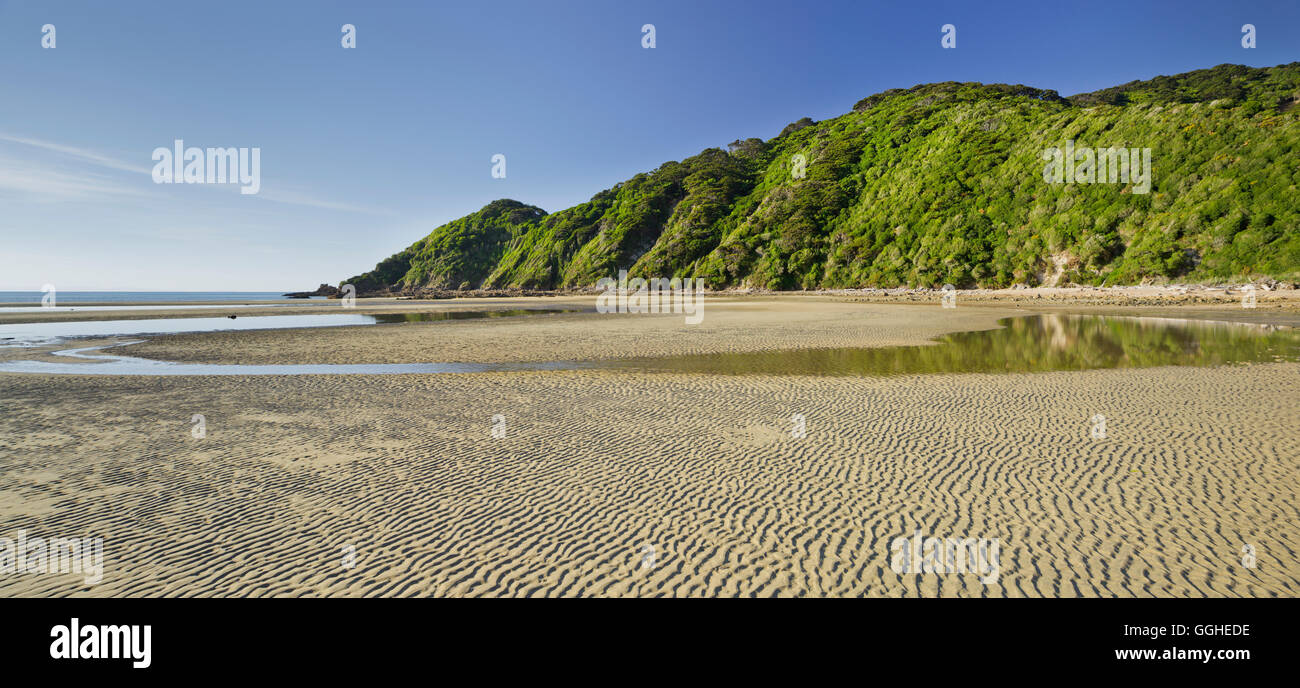 Strand von Wainui Bay, Tasman, Südinsel, Neuseeland Stockfoto