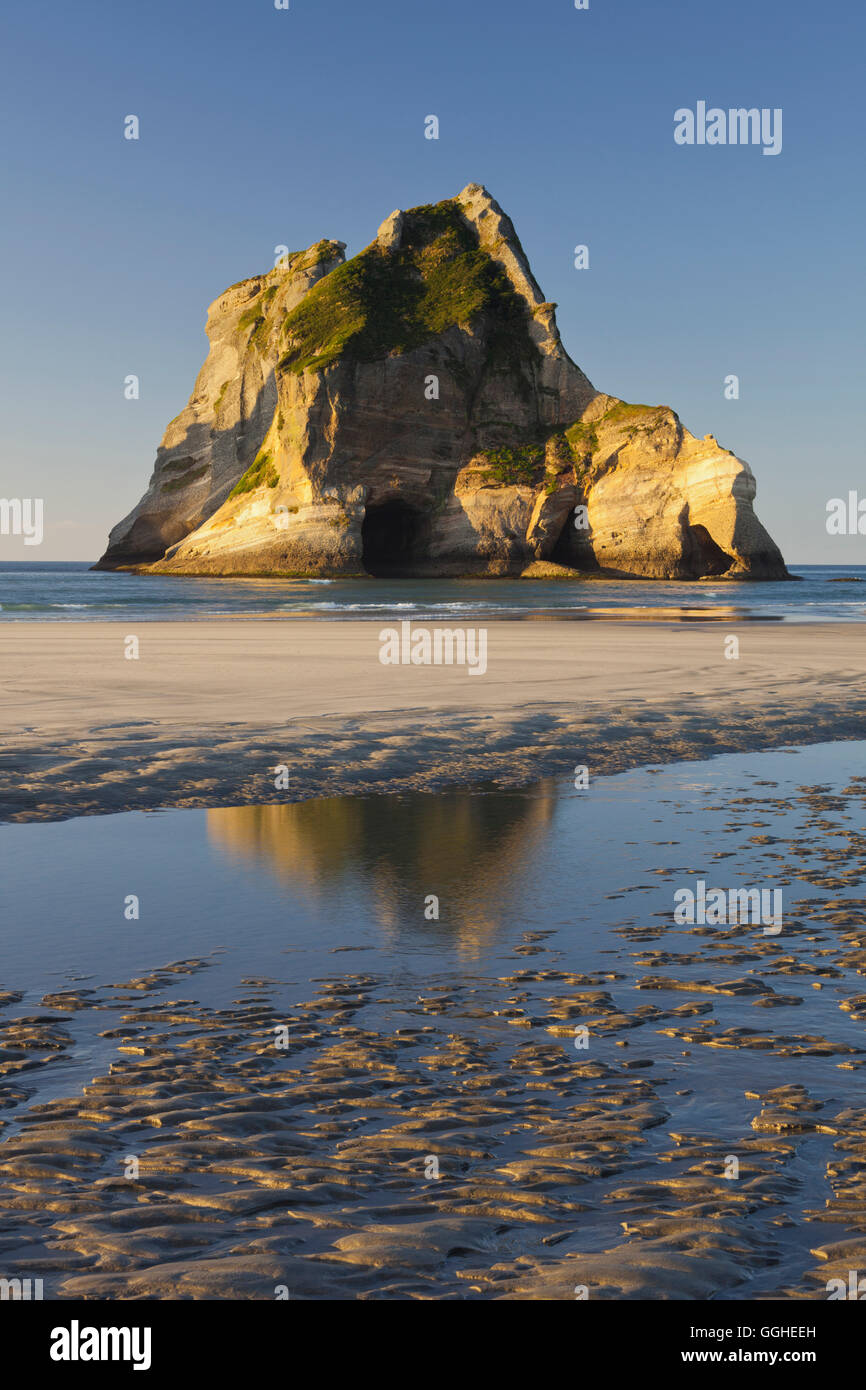 Torbogen Inseln, Wharariki Beach, Tasman, Südinsel, Neuseeland Stockfoto