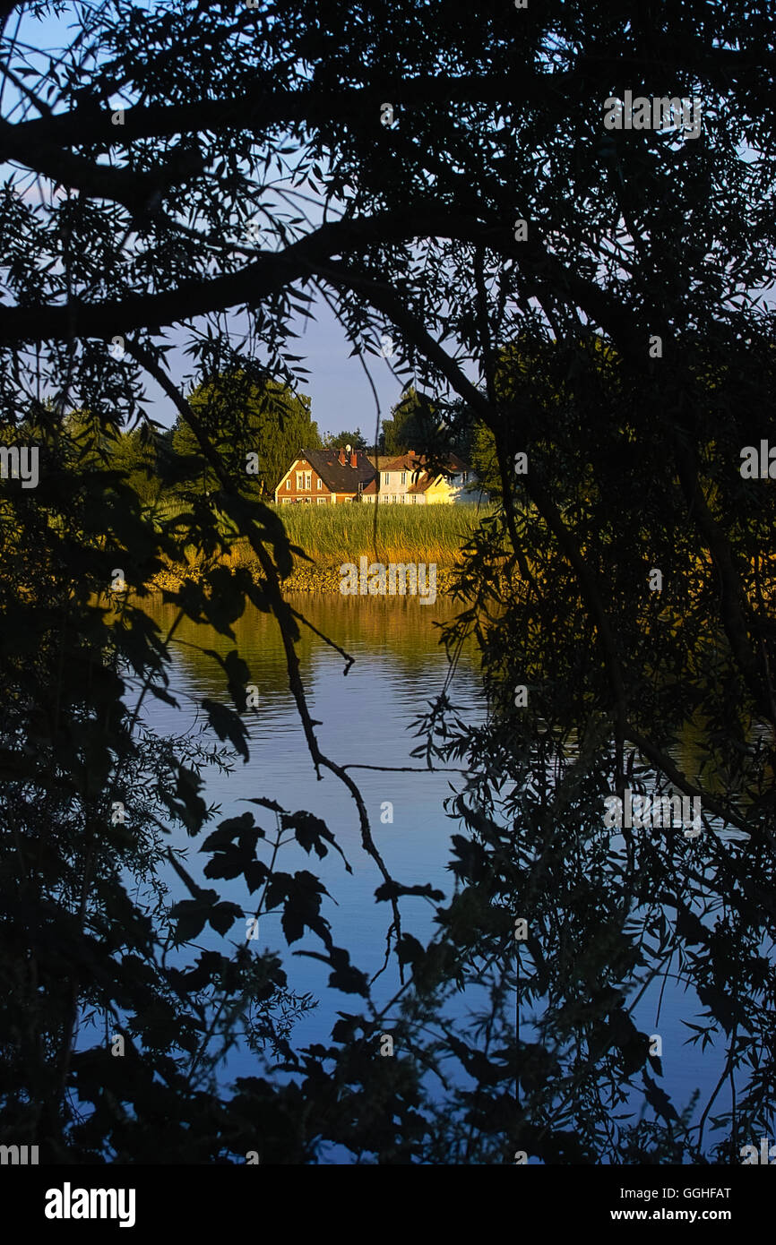 Landschaft am Flussufer, mit Bauernhof und Weidenruten, Blick nach Lesumbrok / Blick Nach Lesumbrok, An der Lesum Stockfoto