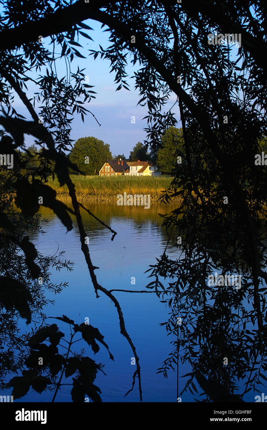 Landschaft am Flussufer, mit Bauernhäusern und Weidenästen, Blick nach Lesumbrok / Blick nach Lesumbrok, an der Lesum, Lansch Stockfoto