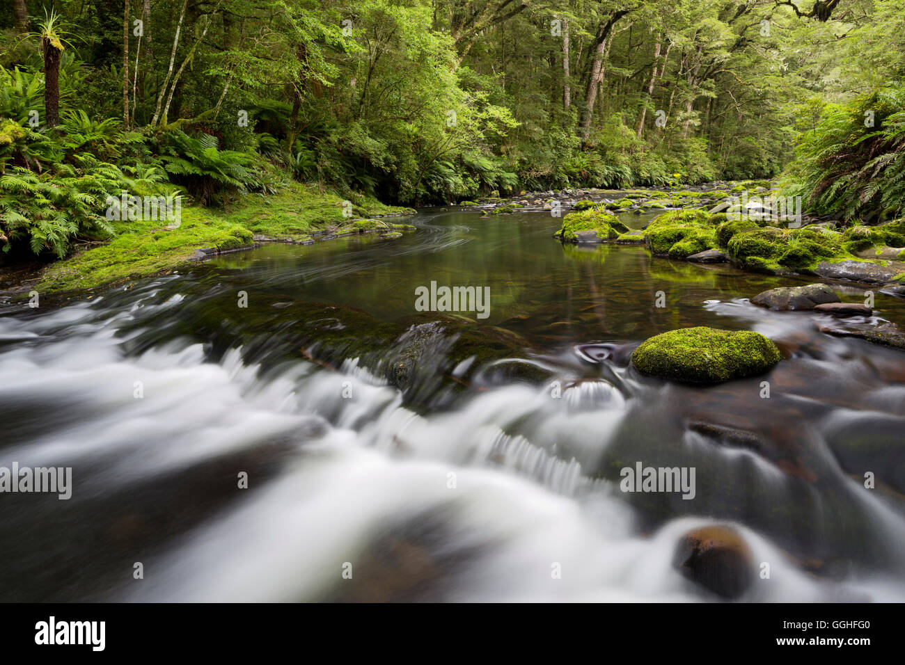 Catlins River, Southland, Südinsel, Neuseeland Stockfoto