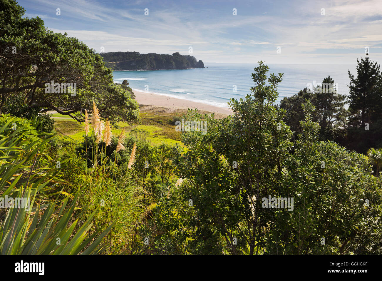 Hot Water Beach, Coromadel Peninsula, Waikato, Nordinsel, Neuseeland Stockfoto