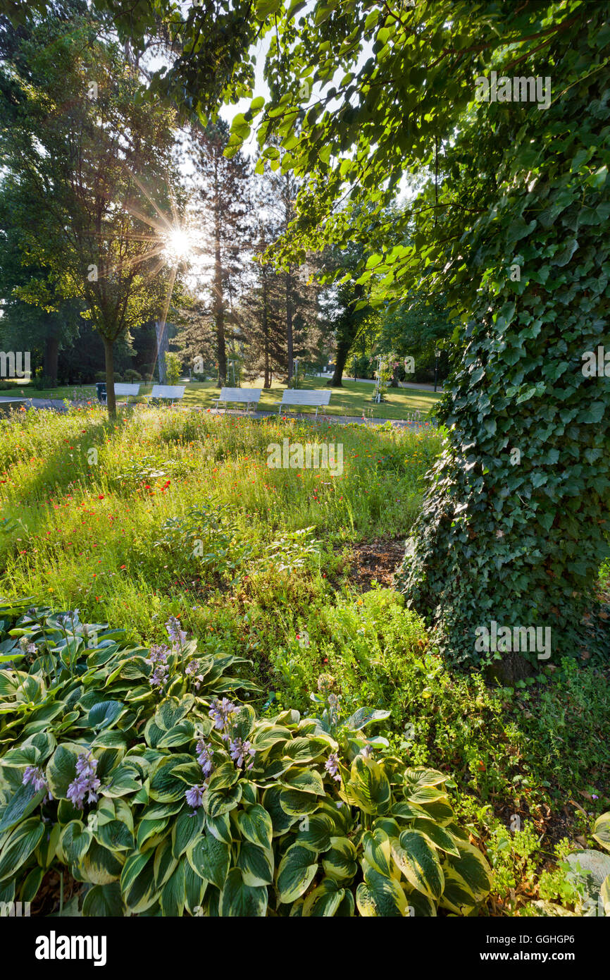 Blumenbeete, Doblhoff-Park, Baden bei Wien, Niederösterreich, Österreich Stockfoto