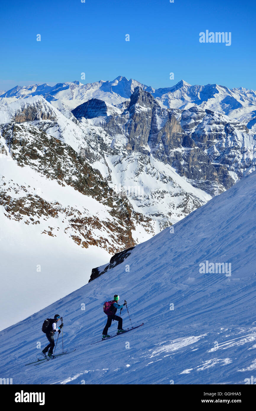 Zwei Backcountry Skifahrer Agglsspitze, Tribulaun und Zillertaler Alpen im Hintergrund, Agglsspitze, Pflerschtal, Stuba aufsteigend Stockfoto
