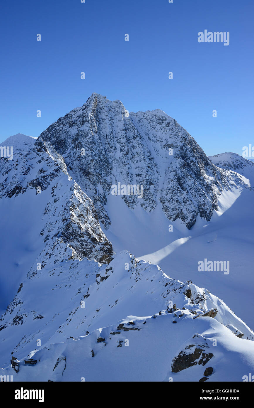 Wilde Leck, Kuhscheibe, Stubaier Alpen, Tirol, Österreich Stockfoto