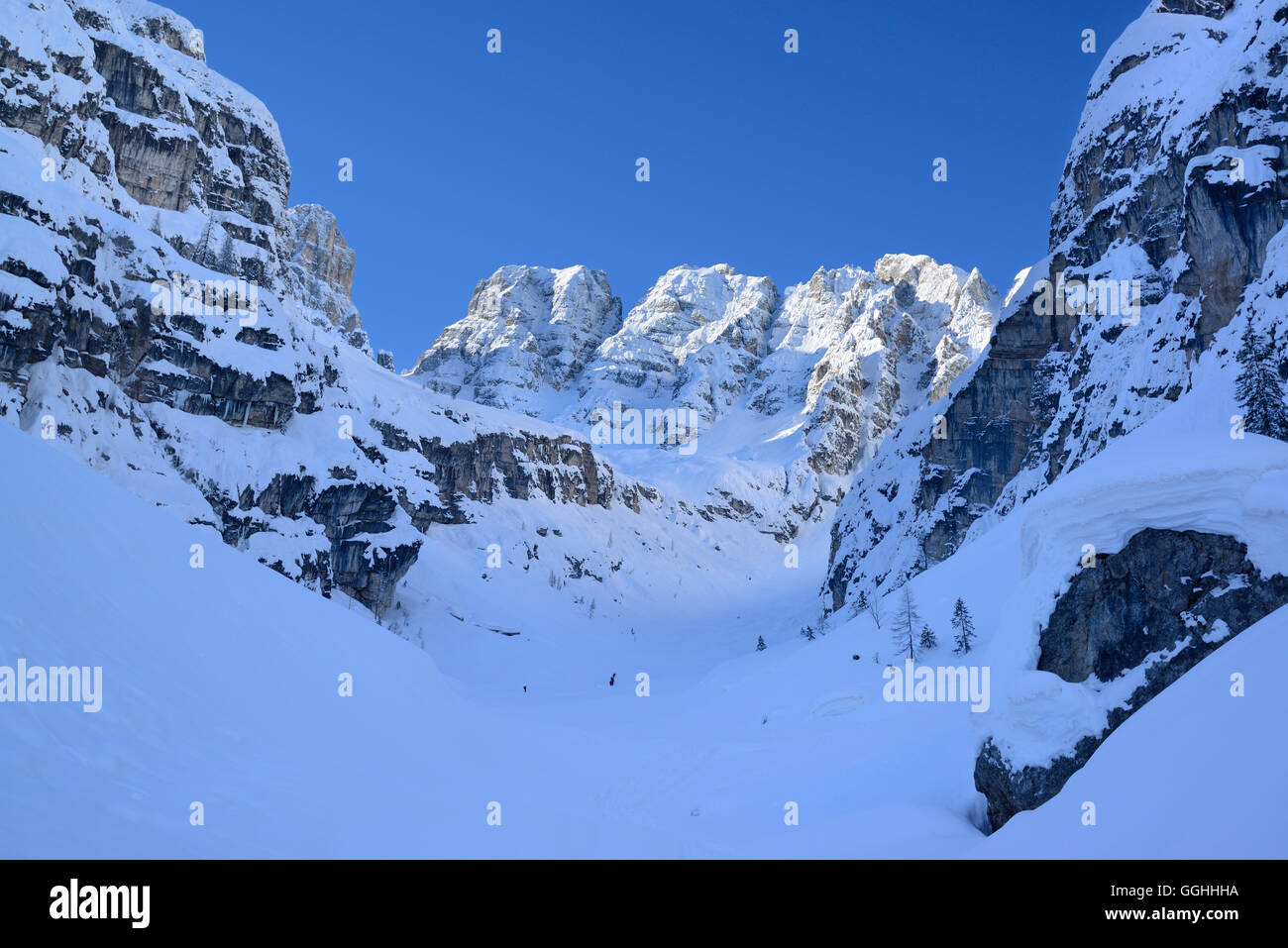 Enges Tal unterhalb Piz Popena und Monte Cristallo, Cristallo, Dolomiten, Belluno, Veneto, Italien Stockfoto