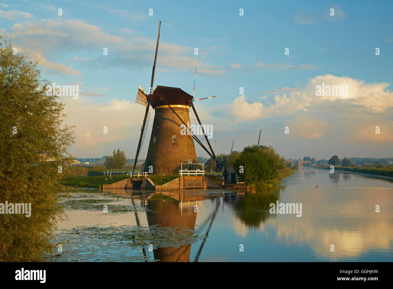Ersten Morgensonne auf der alten Windmühlen von Kinderdijk, Provinz Nordbrabant, Süd-Holland, Niederlande, Europe Stockfoto