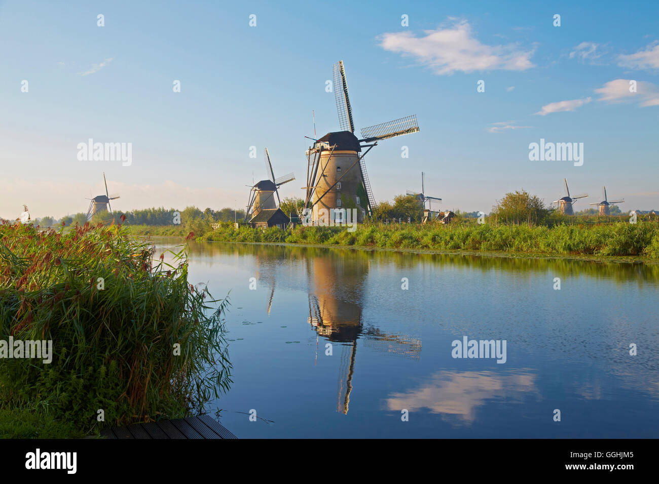 Ersten Morgensonne auf der alten Windmühlen von Kinderdijk, Provinz Nordbrabant, Süd-Holland, Niederlande, Europe Stockfoto