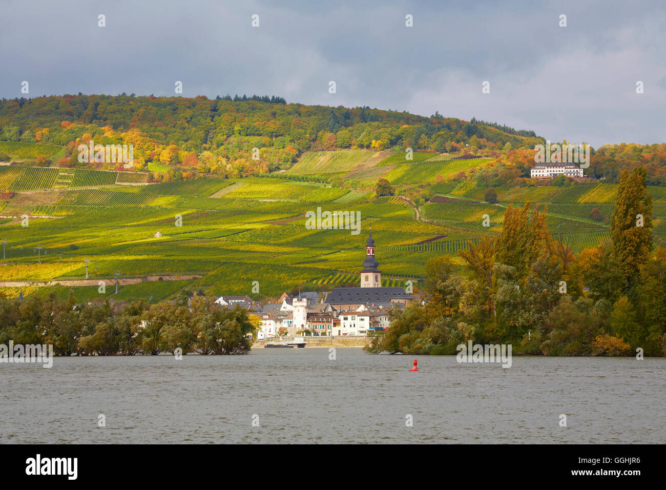 Blick über den Rhein Weinberge, Adlerturm, die Kirche St. Jakobus in Rüdesheim, Mittelrhein, Mittelrhein, Hessen, G Stockfoto