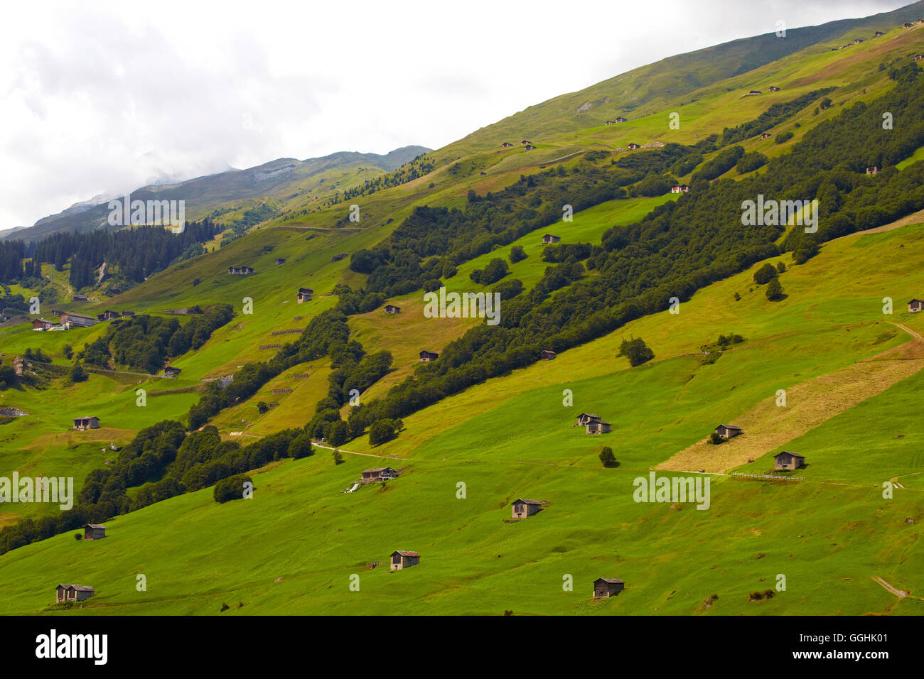 Blick auf den Weiden rund um Vals, Valserrhein, Rhein, Kanton Graubünden, Schweiz, Europa Stockfoto