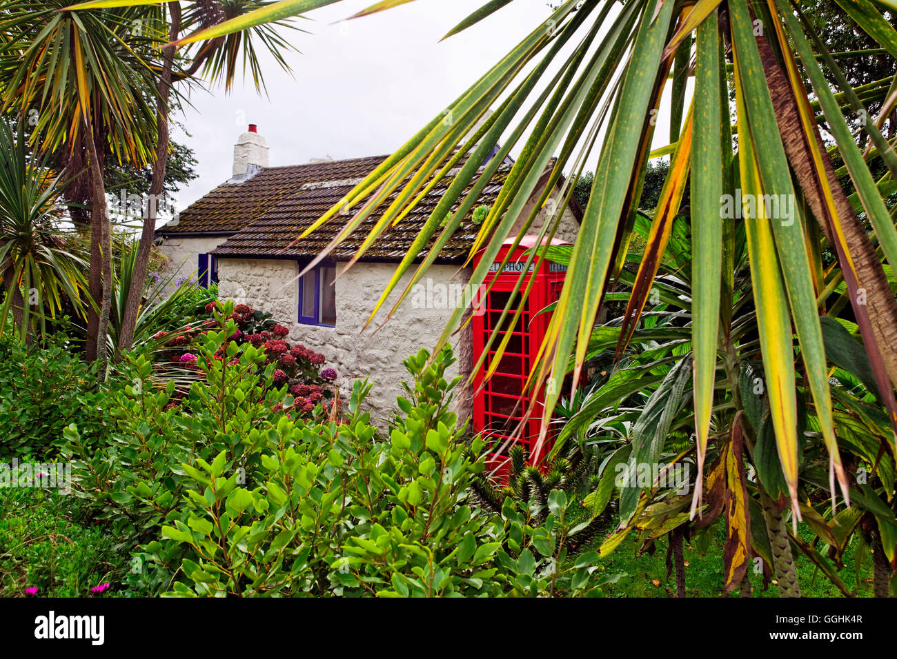 Haus in einem tropischen Garten, Hugh Town, St. Marys, Isles of Scilly, Cornwall, England, Großbritannien Stockfoto