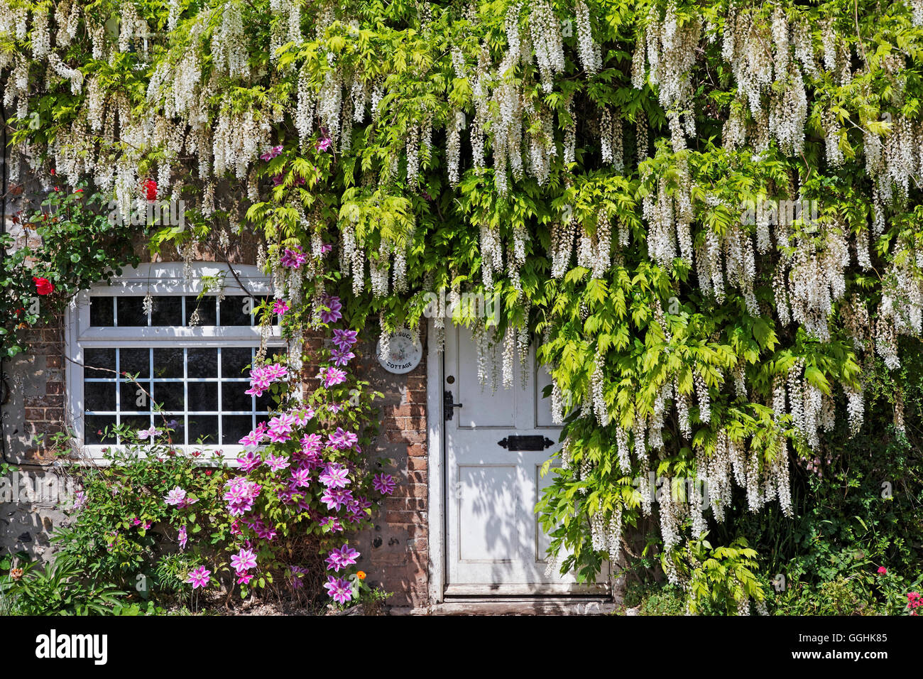 Haustür in höheren Charminster, Dorset, England, Großbritannien Stockfoto