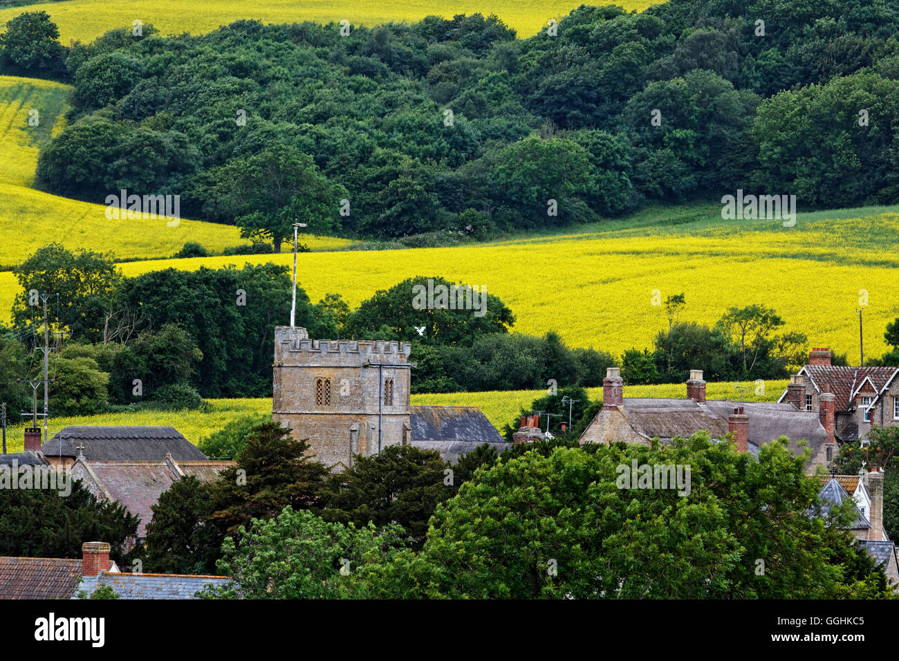 Dorf Kirche, Chideock, Dorset, England, Großbritannien Stockfoto