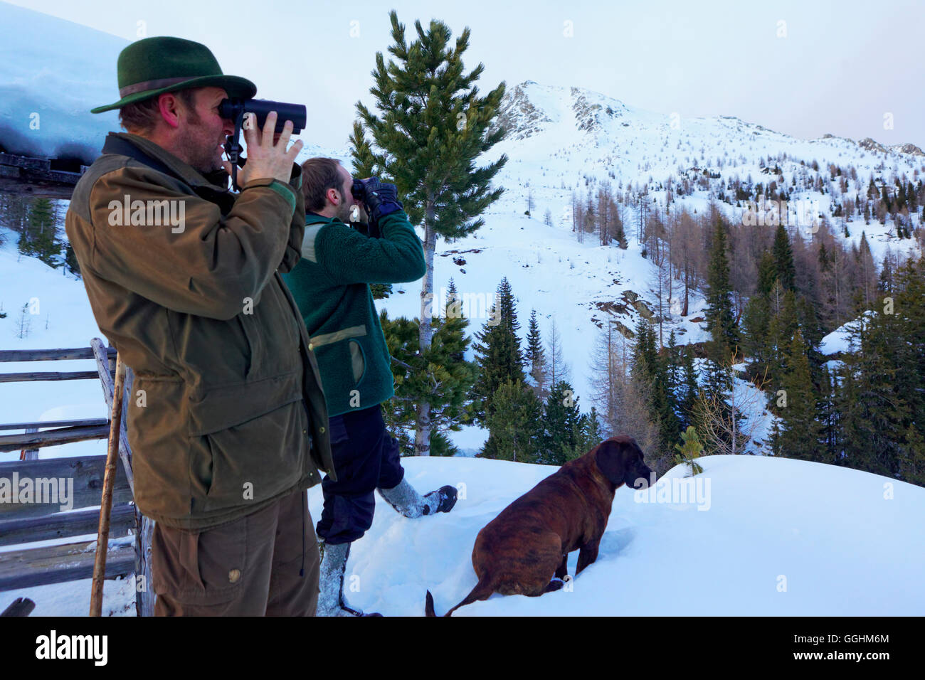 Jäger auf der Suche nach Hirsch, Nationalpark Hohe Tauern, Kärnten, Austria, Europe Stockfoto