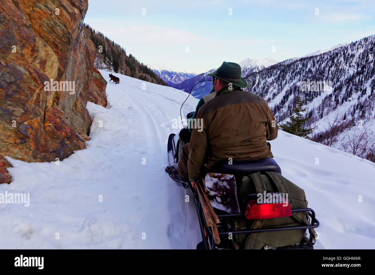 Mann fahren mit dem Motorschlitten, Teuchlspitz, Nationalpark Hohe Tauern, Kärnten, Austria, Europe Stockfoto