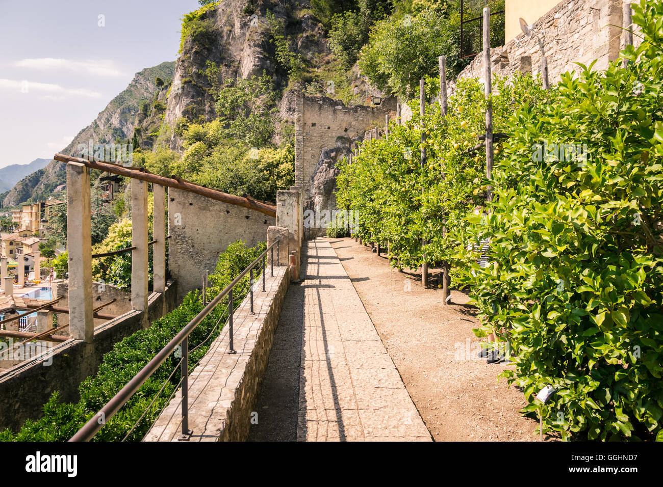 Alten Limonaia in Limone Sul Garda, Gardasee, Italien. Stockfoto