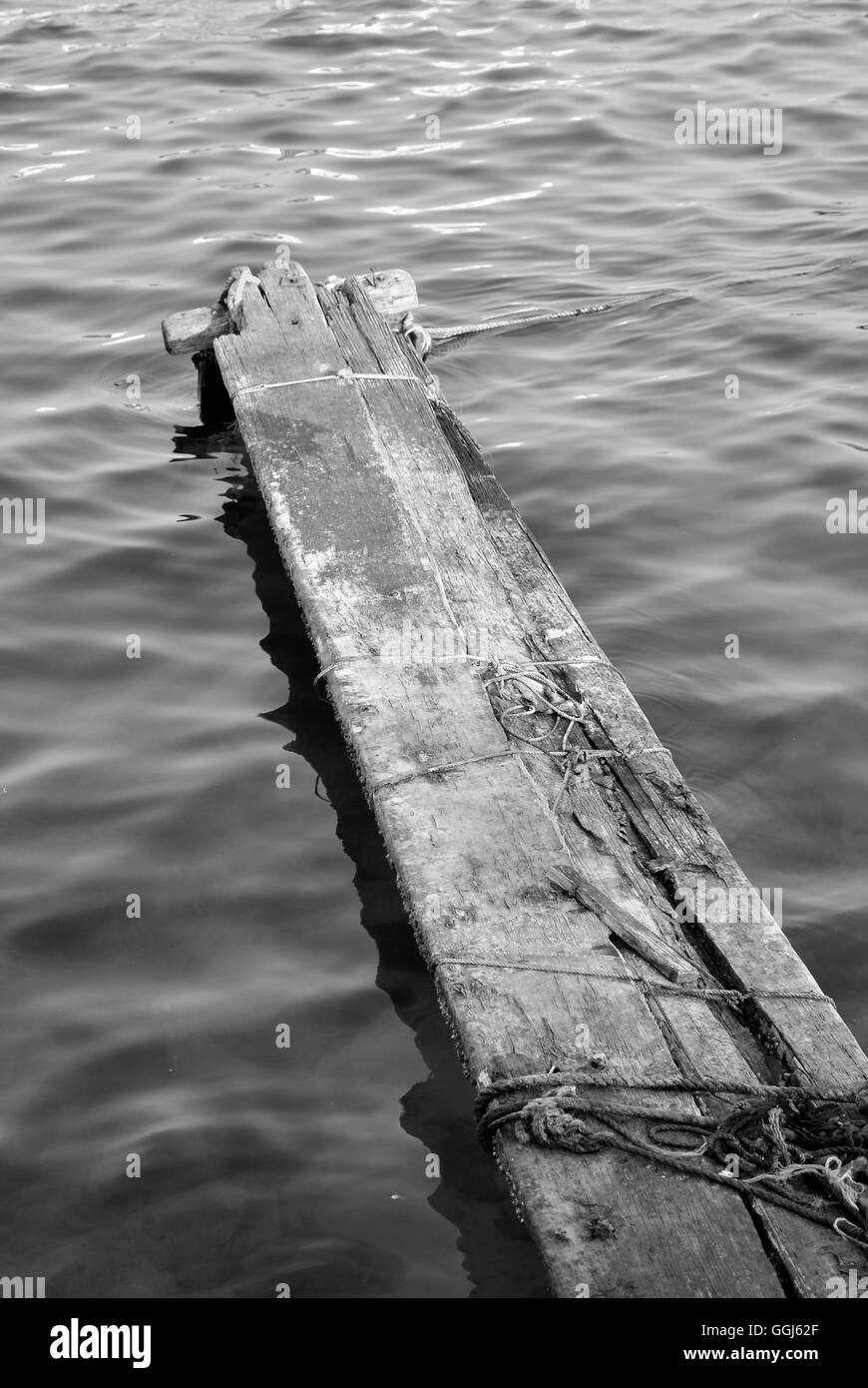 schwimmende Log Ozean Meereslebewesen Holz Holz flott Ufer Meerwasser Stockfoto