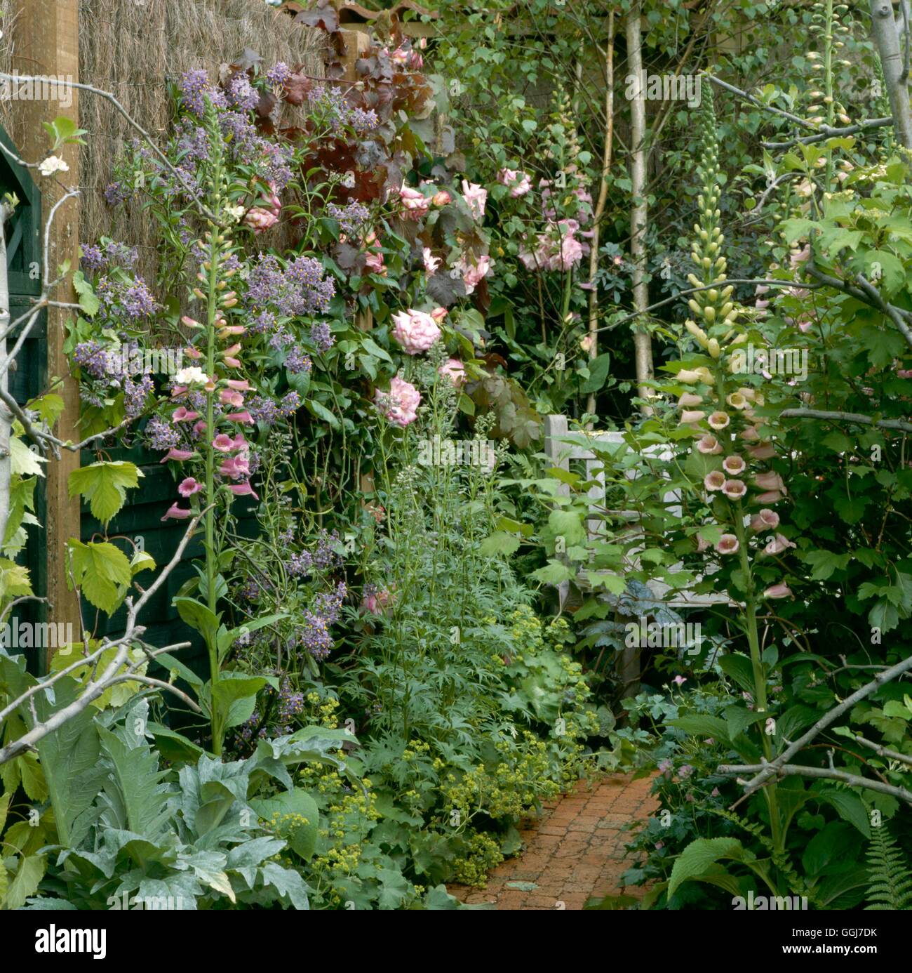Bauerngarten - (täglicher Spiegel-Ausstellung im Chelsea Flower Show 1994) COT056477 Fotos Horticult Stockfoto
